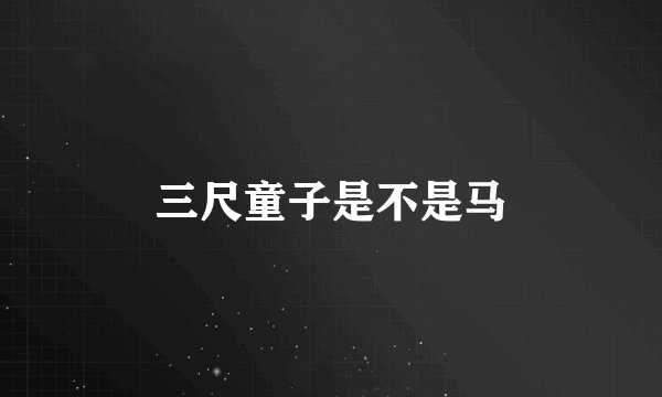三尺童子是不是马