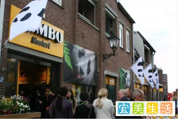 荷兰人感慨：我国花16年时间才借到熊猫，英国反而将熊猫送回中国