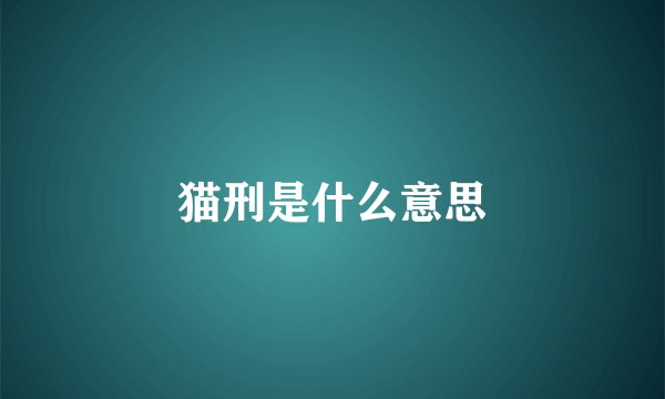 猫刑是什么意思