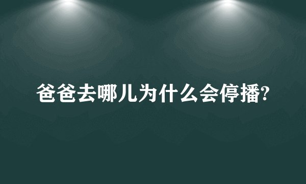 爸爸去哪儿为什么会停播?