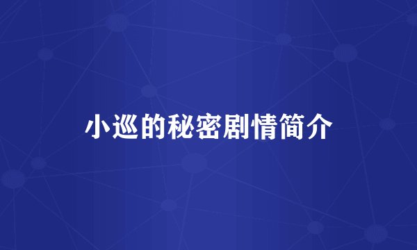 小巡的秘密剧情简介