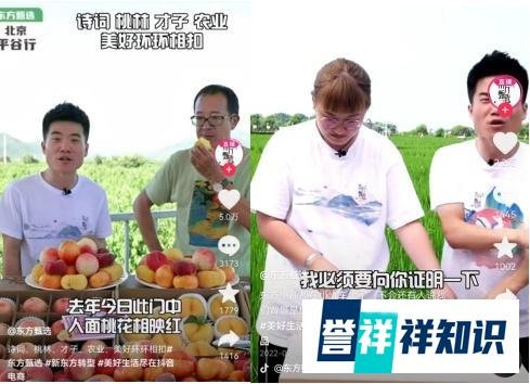 全拓数据-三个月带货20亿元,东方甄选上线APP打造私域电商模式