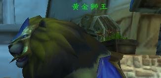 魔兽世界黄金狮王在哪买？