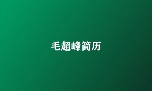 毛超峰简历