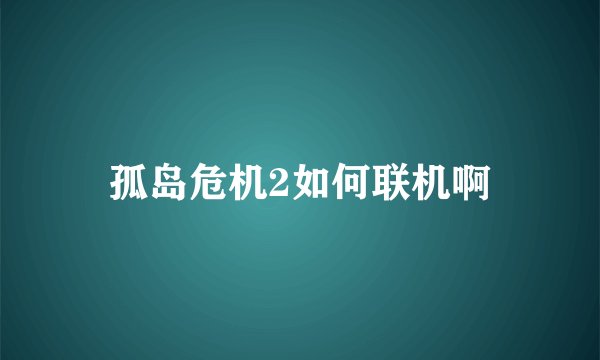 孤岛危机2如何联机啊