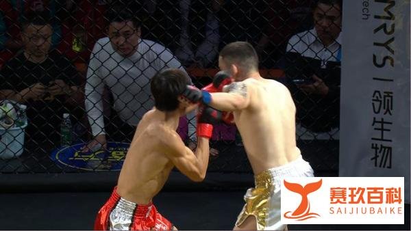 龙三国际MMA:57公斤级闪电战!胡特VS尹相兆,两分钟速战速决!