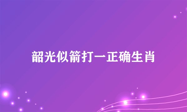 韶光似箭打一正确生肖