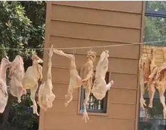 上海一垃圾桶现百斤肉 官方:勿食 这是咋情况？