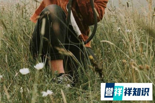 “妈，我求你别那么高看我！”深夜，60岁的婆婆收到儿子的一封信