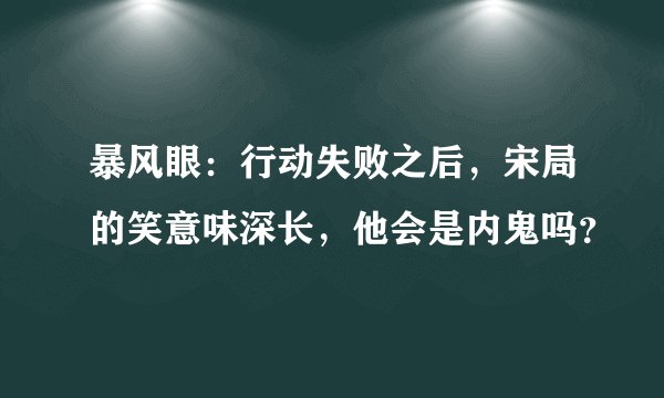 暴风眼：行动失败之后，宋局的笑意味深长，他会是内鬼吗？
