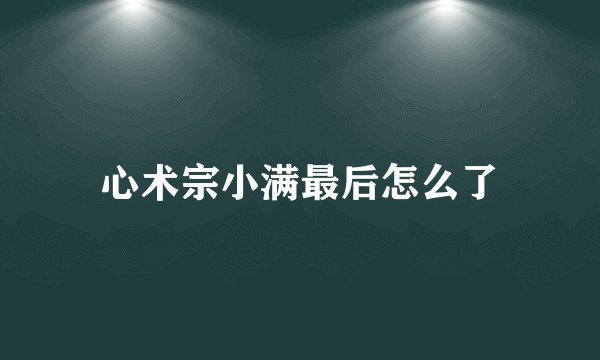 心术宗小满最后怎么了