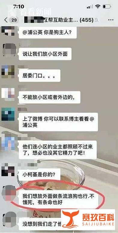 上海一家中柯基因无狗粮喂食被放养后被当街打死，隔离期间宠物怎么办？