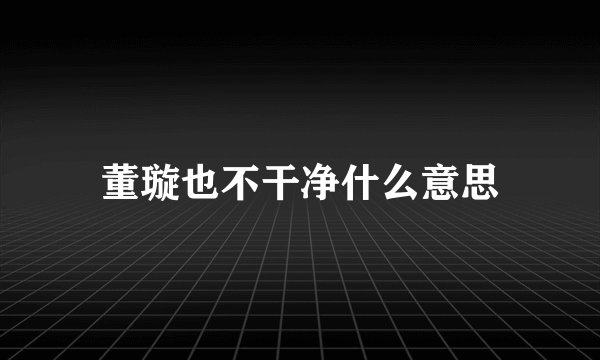 董璇也不干净什么意思