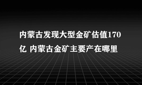 内蒙古发现大型金矿估值170亿 内蒙古金矿主要产在哪里