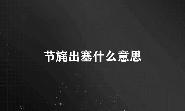 节旄出塞什么意思