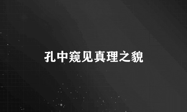孔中窥见真理之貌