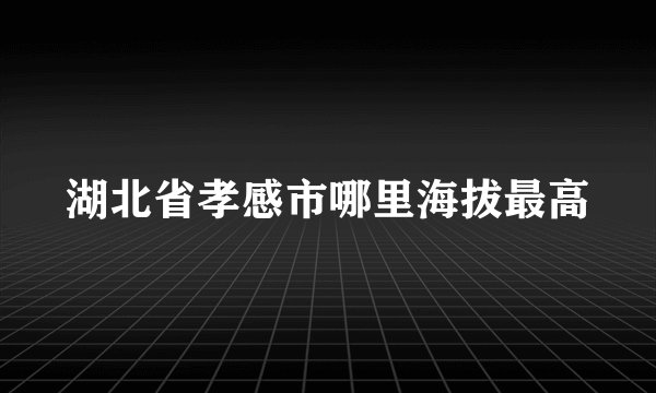 湖北省孝感市哪里海拔最高