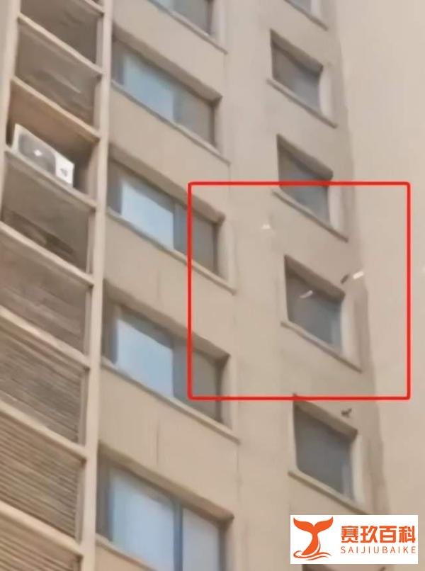 令人痛心！郑州一女子撒十几万现金后，从11楼跳下身亡，家有小孩，事件细节曝光