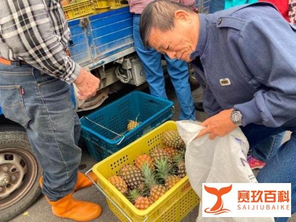 台主播推销凤梨一颗10块三颗50块 这是咋情况？