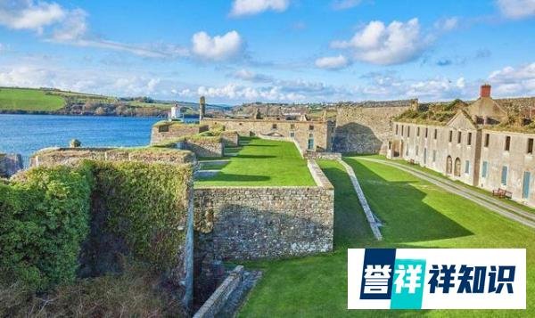 HL爱尔兰护照在英被抢空、爱尔兰护照有什么用？免签多少个国家？
