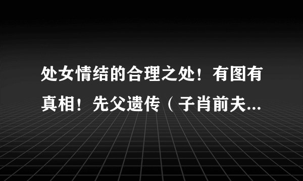 处女情结的合理之处！有图有真相！先父遗传（子肖前夫）不容质疑的事实！