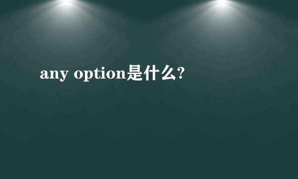 any option是什么?