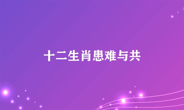 十二生肖患难与共