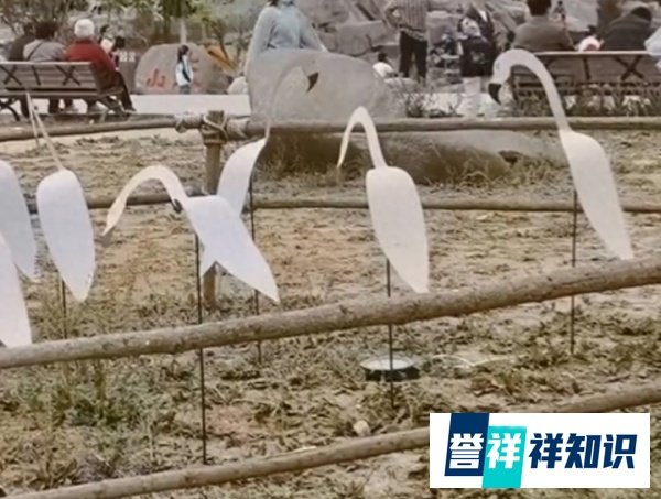 游客去邯郸一景区花60元，还花一个小时排队，却看了个寂寞