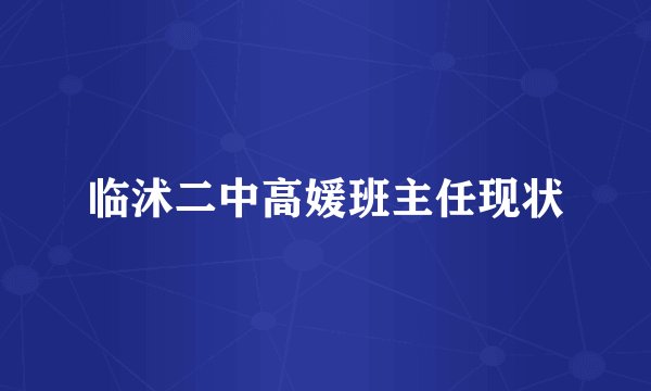 临沭二中高媛班主任现状