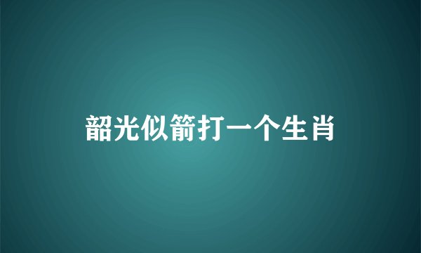 韶光似箭打一个生肖
