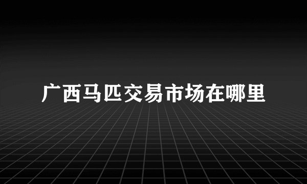 广西马匹交易市场在哪里