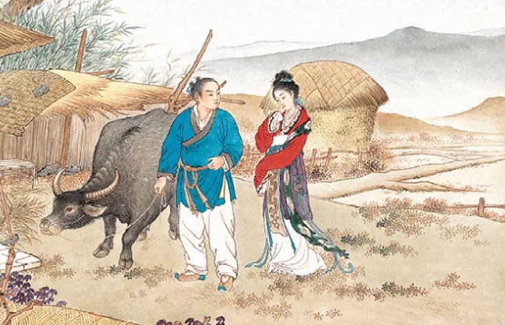 牛郎的牛是什么牛?