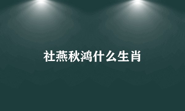 社燕秋鸿什么生肖