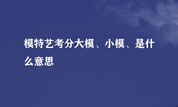 模特艺考分大模、小模、是什么意思