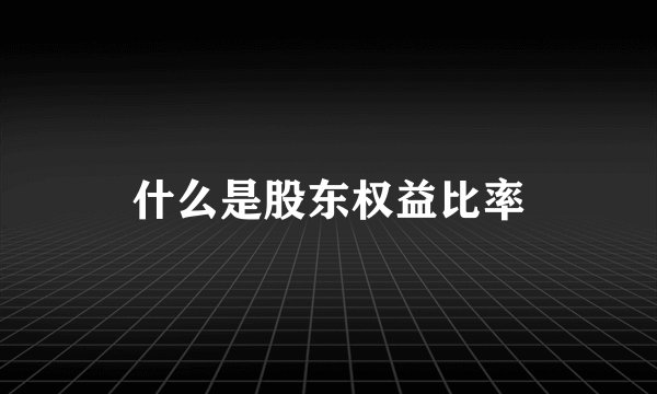 什么是股东权益比率