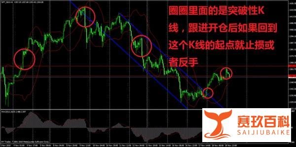 57岁股市传奇女股神孙丽华，炒股二十年从未割肉，昔日借来的3500元入市，如今身家千万！