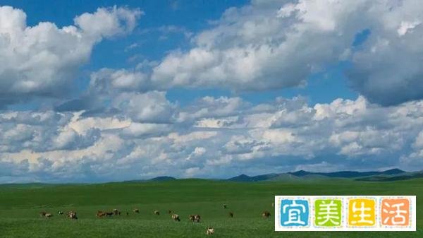 全民免费教育,阿根廷真的很穷吗?