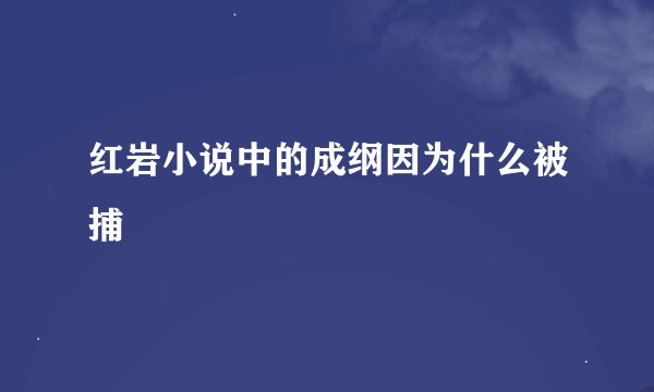 红岩小说中的成纲因为什么被捕