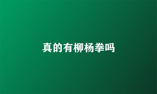 真的有柳杨拳吗