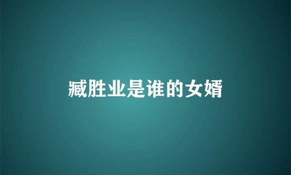 臧胜业是谁的女婿