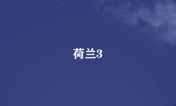 荷兰3