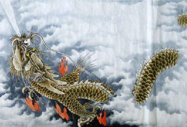 没头没尾的动物猜生肖
