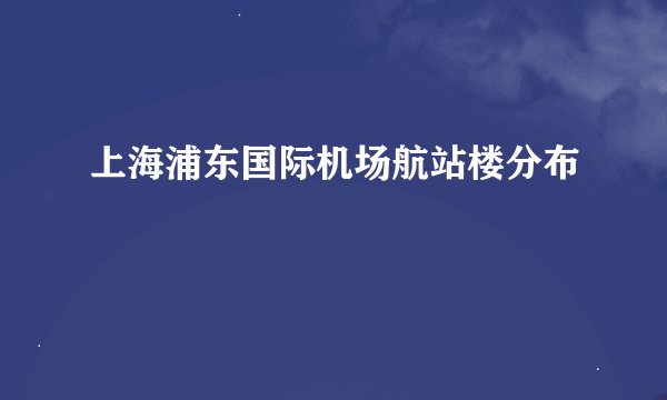 上海浦东国际机场航站楼分布