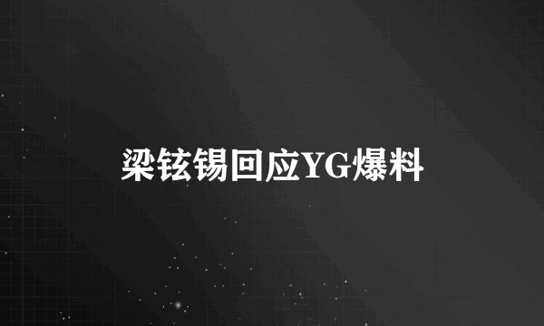 梁铉锡回应YG爆料