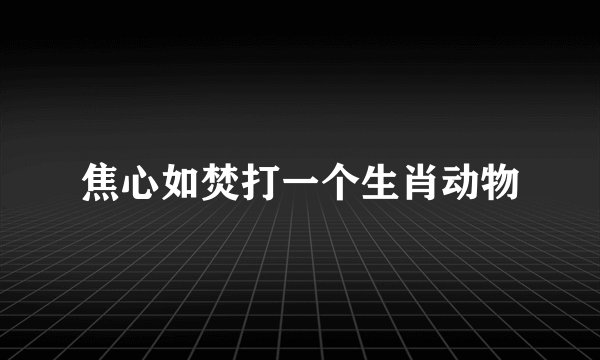 焦心如焚打一个生肖动物