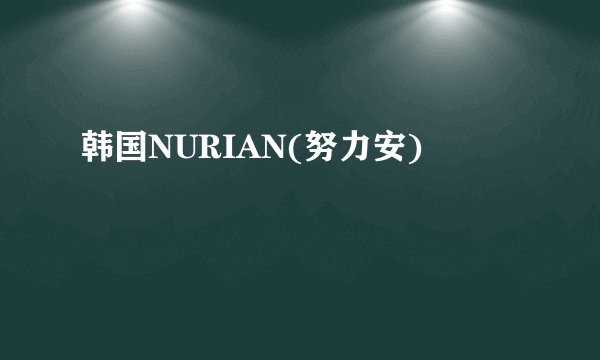 韩国NURIAN(努力安)