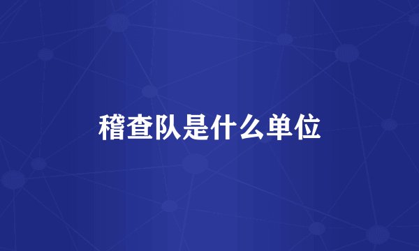 稽查队是什么单位