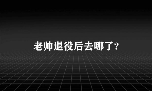 老帅退役后去哪了?