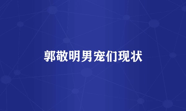 郭敬明男宠们现状