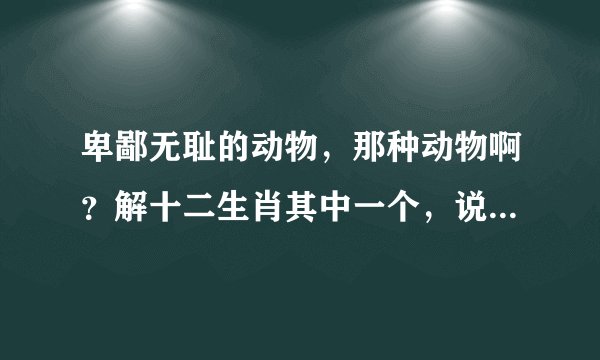 卑鄙无耻的动物，那种动物啊？解十二生肖其中一个，说出你的理由。